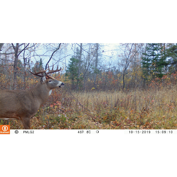 CORE DS-4K NO-GLOW TRAIL CAMERA - Imagen 3