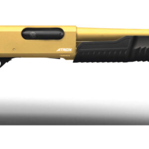 ATROX BASIC FRAME GOLD